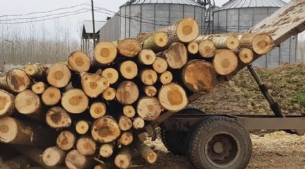 Sawn Wood Drying Methods